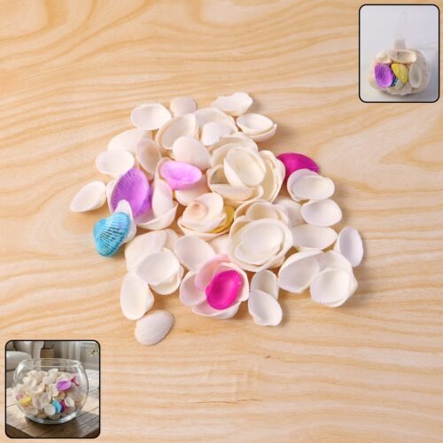 Seashells-WOSKU-01.jpg Decorative Seashells Set (1 Set)