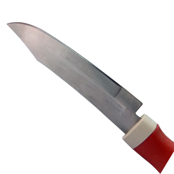 0092.png Kitchen Small Knife with cover -