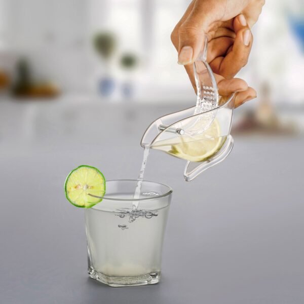 01_2b3b03bb-3b59-4e6f-a949-ad43c8fa2bfa.jpg Bird-Shaped Lemon Squeezer for Citrus Fruits (Portable, Color Box)