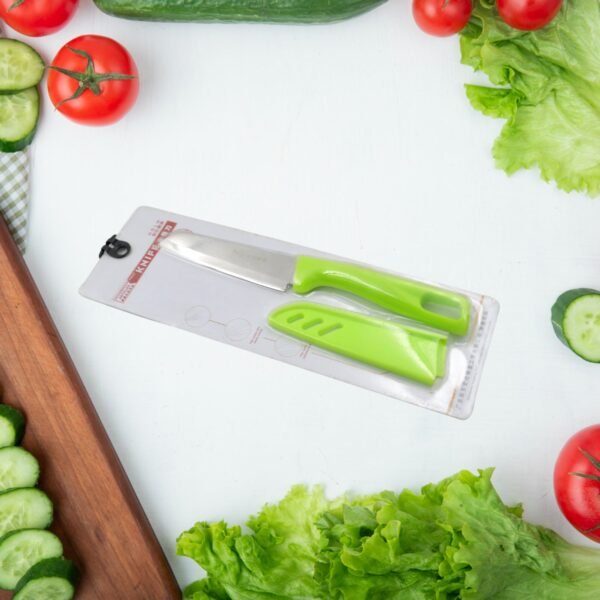 Stainless Steel Knife For Kitchen Use, Knife Set,  Fruit, Vegetable,(Mix Design 1 Pc)