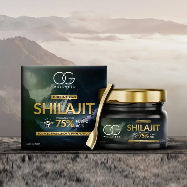OG Wellness Pure Himalayan Shilajit Resin (20 GM / 1 Pc)