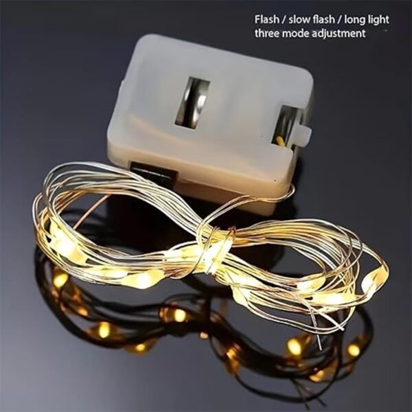 Fairy Lights Multi LED Fairy String Light (1 Pc)