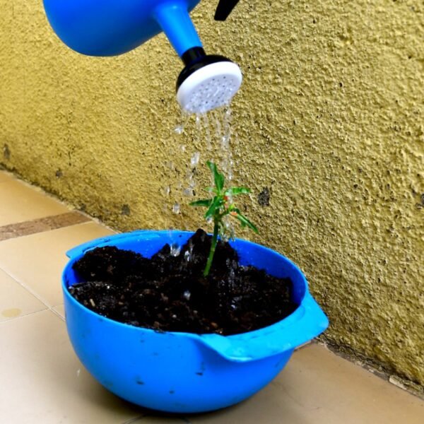 02_1974e7bb-bc98-496e-8417-2a6428914b44.jpg Standard Manual Sprayer 1500 ml