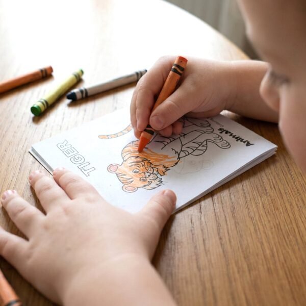 02_1b4e983c-ad3a-4e64-ac94-406587eb5a30.jpg Kids Animal Theme Colouring Book Set ( 5 Pc / Mix Color Books)