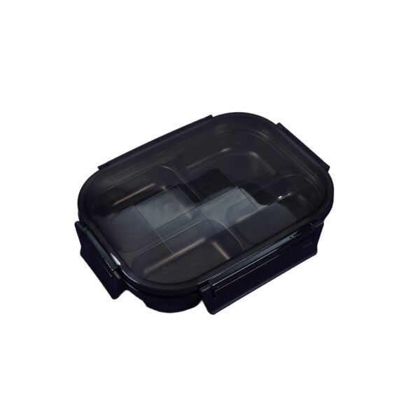 Black Transparent 4 Compartment Lunch Box