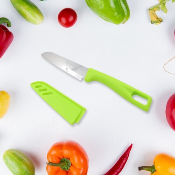 Stainless Steel Knife For Kitchen Use, Knife Set,  Fruit, Vegetable,(Mix Design 1 Pc)