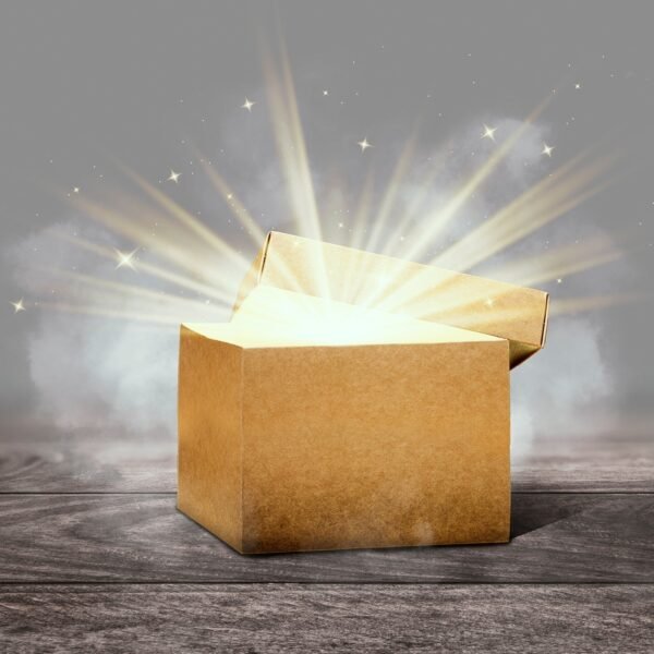 Lucky Box Premium Product Lucky Box Value Rs. 5500