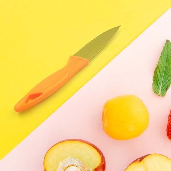 Stainless Steel Small Fruit Knife with Non-Slip Handle & Protective Cover (1 Pc)