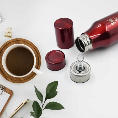 Stainless Steel Oil Dispenser with Nozzle Bottle (500Ml)