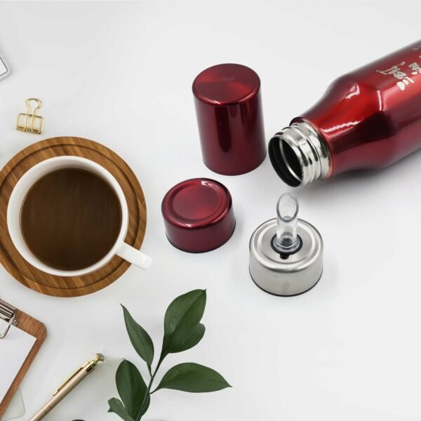 Stainless Steel Oil Dispenser with Nozzle Bottle (500Ml)