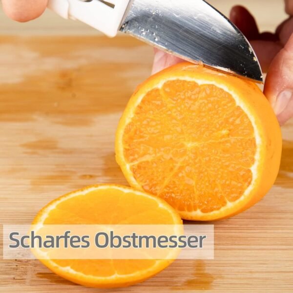 02_69bf9603-68fe-4e62-a0c1-3e64f8c9863e.jpg Dual-Use Knife and Peeler, 2-in-1 Stainless Steel Blades Wiith case (1 Pc)