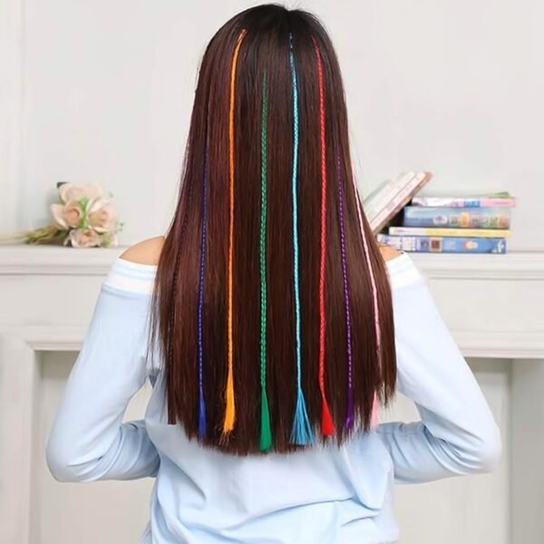 Colourful Braided Hair Extension Streaks for Girls & Kids (6 Pc)