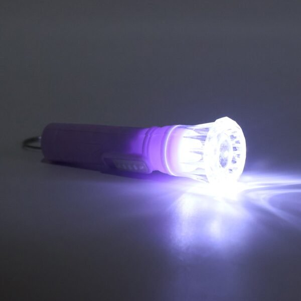 02_8c4e5a2f-85c7-4c57-a8ed-63742f16dbb2.jpg Mini LED Flashlight Keychain Torch (Mix Color & 1 Pc)