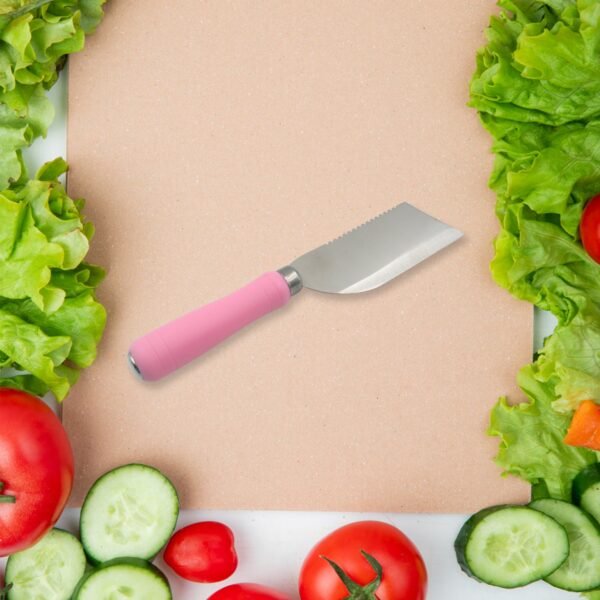 Stainless Steel Knife For Kitchen Use, Knife Set,  Fruit, Vegetable,(Mix Design 1 Pc)