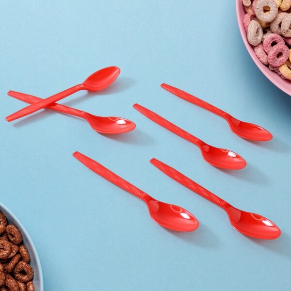 Reusable Food-Grade Plastic Spoons (10 Pc)