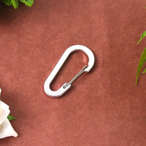 02_93ab8fbe-dcb0-49d6-bafa-30dae50f0f0a.jpg Big Snap Hook Clasps Loop Belt | Keychain Belt Loop (1 Pc)