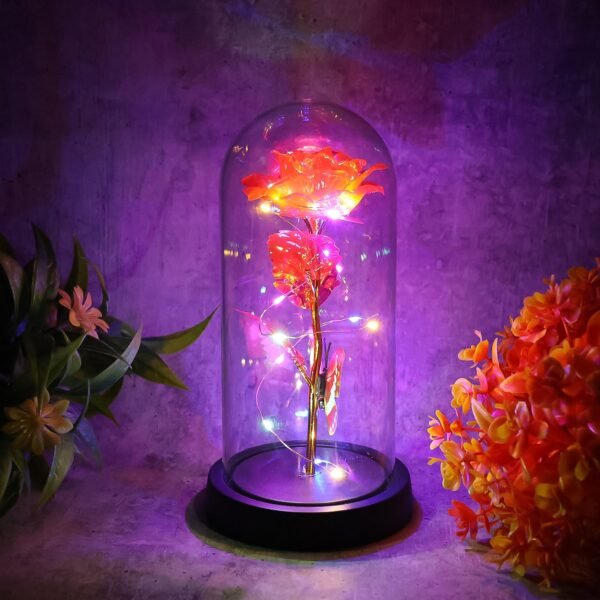 Elegant LED Eternal Rose in Plastic Dome (1 Pc / Battery Not included)