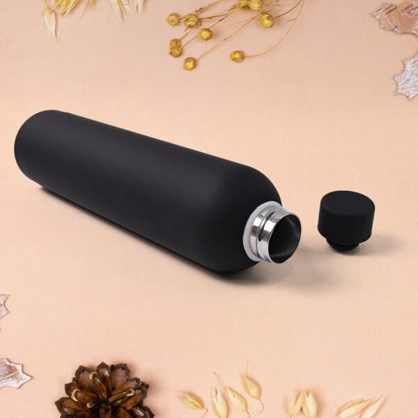 Stainless Steel Double Wall Vacuum-Insulated Drink Water (Mix Color / 500 ML Approx)