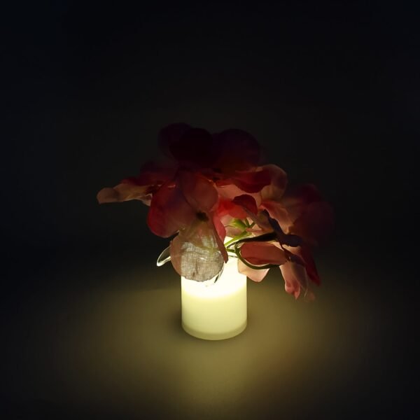 02_b0b5b03c-cf66-456a-a69a-360171797cdc.jpg LED Mood Lights Bedroom Interior Decor Lighting, Diwali (1pc)