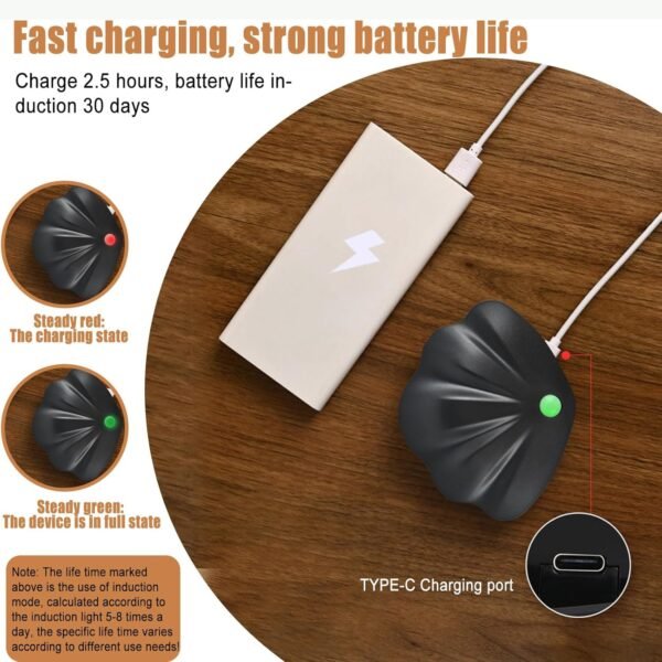 Shell-Shaped Motion Sensor Night Light