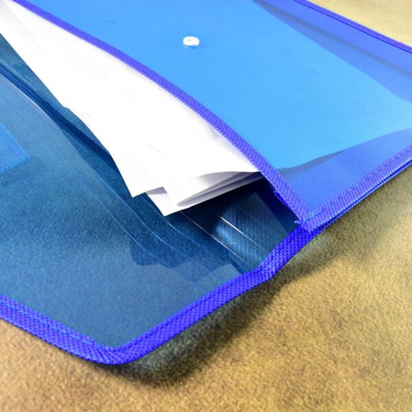 Transparent Document File Folder Multi-Color Button Closure File Bags (1 Pc / Mix Color)