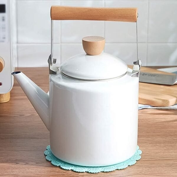 Silicone Round Heat Resistant Mat (2 Pc Set)