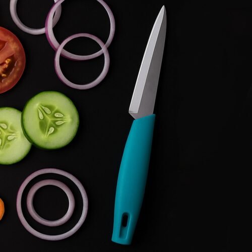 Supermom Premium Stainless Steel Kitchen Utility Knife, Chhari  (1 Pc)