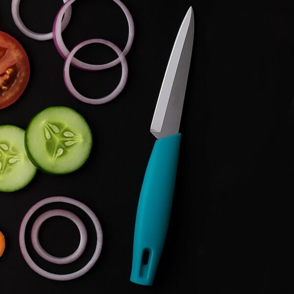 Supermom Premium Stainless Steel Kitchen Utility Knife, Chhari  (1 Pc)