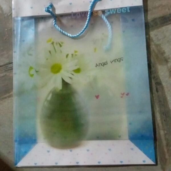 Plastic Transparent Bag With Handle (1 Pc / 34 x 26 Cm)