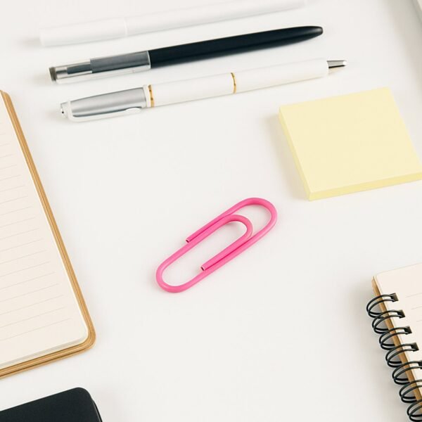 Vinyl-Coated Paper Clips - (10 Pc / Set)