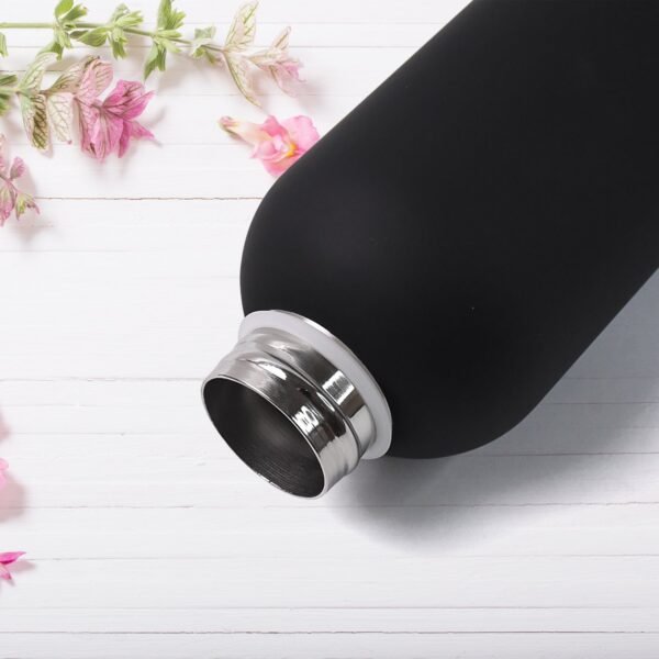 Stainless Steel Double Wall Vacuum-Insulated Drink Water (Mix Color / 500 ML Approx)