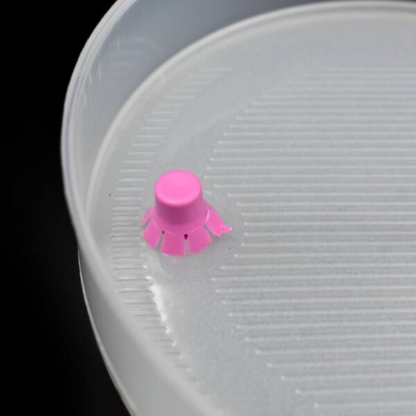 03_1ad5a3f3-9959-4a94-aad7-e80edc12f0ca.jpg Sprout Maker 4 Layer for Household and Kitchen Use