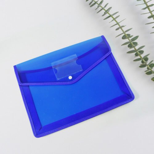 03_2a7285c2-e5e3-4f56-a7b7-3cd40e142c51.jpg Transparent Document File Folder Multi-Color Button Closure File Bags (1 Pc / Mix Color)