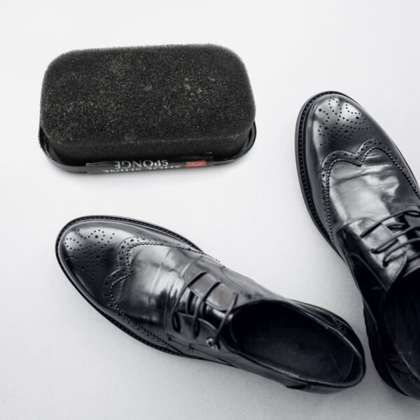 Shoe Shiner and Shoe Polish (1 Pc)
