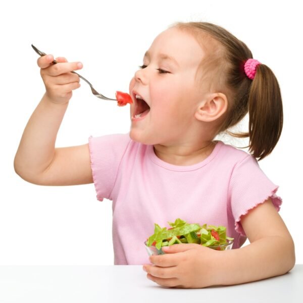 Small Dinner Fork for home and kitchen. (set of 8Pc)