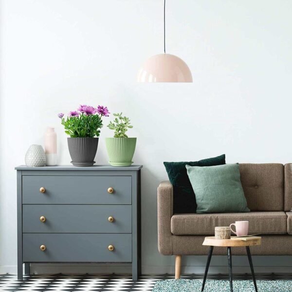 03_4ab50453-b10a-48c4-8d96-370371918811.jpg Round Plastic Flower Pot with Bottom Tray (5 Pcs Set / With Color Box)