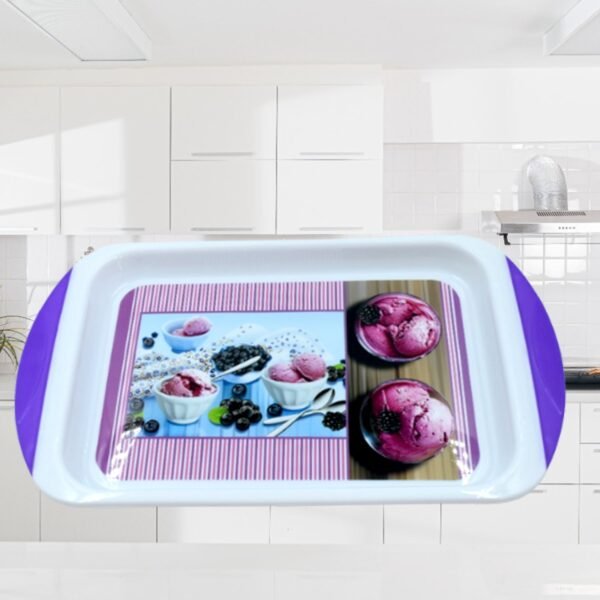 03_4fc90d10-c46b-41b9-8b9d-c6ef72936f5c.jpg Small Plastic Tray for Kitchen and General Purpose