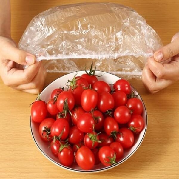 03_6d4e8b01-1e1c-42db-9fc0-ca43d542d18f.jpg Disposable Elastic Food Storage Covers Bag (100 Pcs Set / Big)