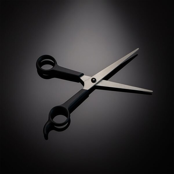 Professional Hair Cutting Scissors - (1 Pc)