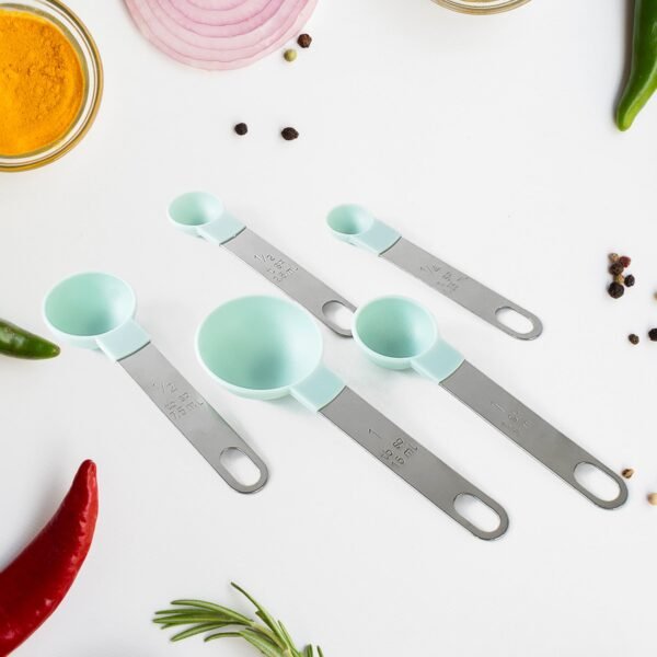 Stainless Steel and Plastics Measuring Spoon (Set of 5 Pc)