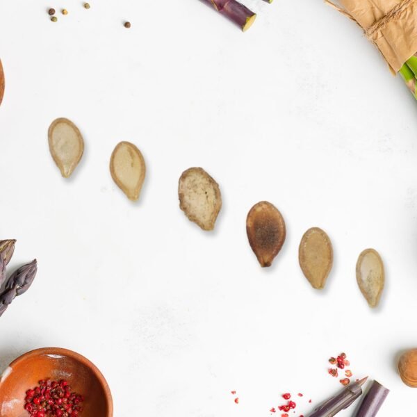 03_8270929f-bd38-40f0-a539-f64bd1a7768e.jpg 15 Varieties of Vegetable Seeds Combo (1 Pkt. / 15 Varieties)