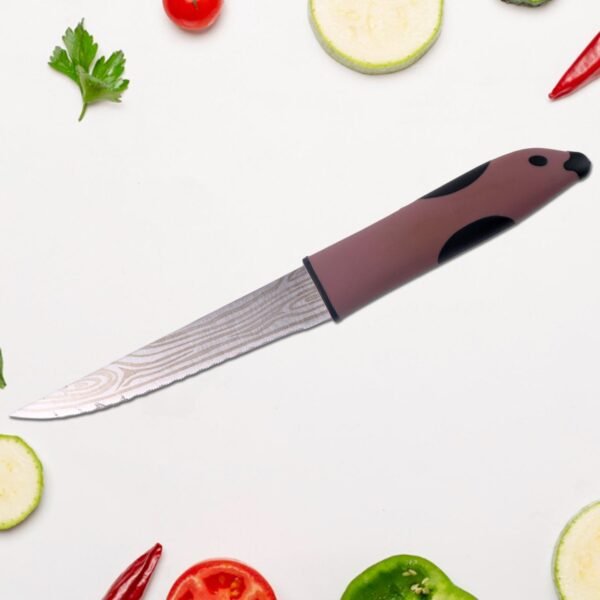 Multi-Purpose Stainless Steel Kitchen Cutting Knife (1 Pc)