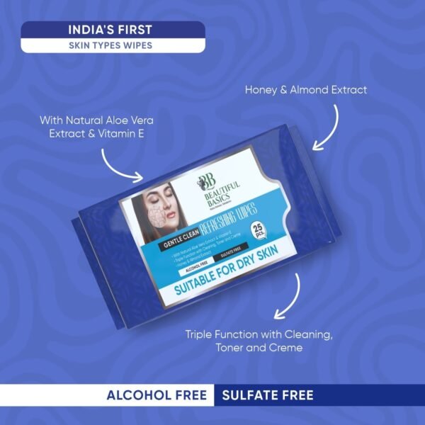 Refreshing Alcohol-Free Wet Wipes – Facial & Body Wipes (25 Pc)