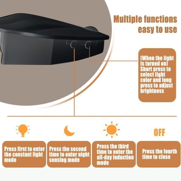 Shell-Shaped Motion Sensor Night Light