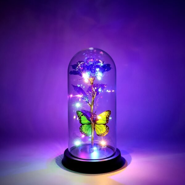 03_af014e38-94ff-43bc-8100-ed5fd2224e7f.jpg LED Preserved Rose with Colorful Butterfly in Plastic Dome (1 Pc & Mix Color)