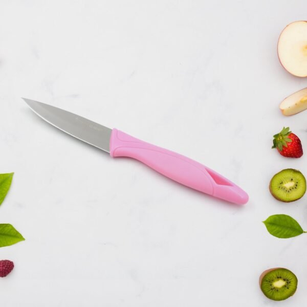 Stainless Steel Small Fruit Knife with Non-Slip Handle & Protective Cover (1 Pc)