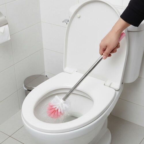 03_b4c9314d-5d13-4113-9d52-87fa56adb011.jpg Long Handle Toilet Cleaning Brush (1 Pc)