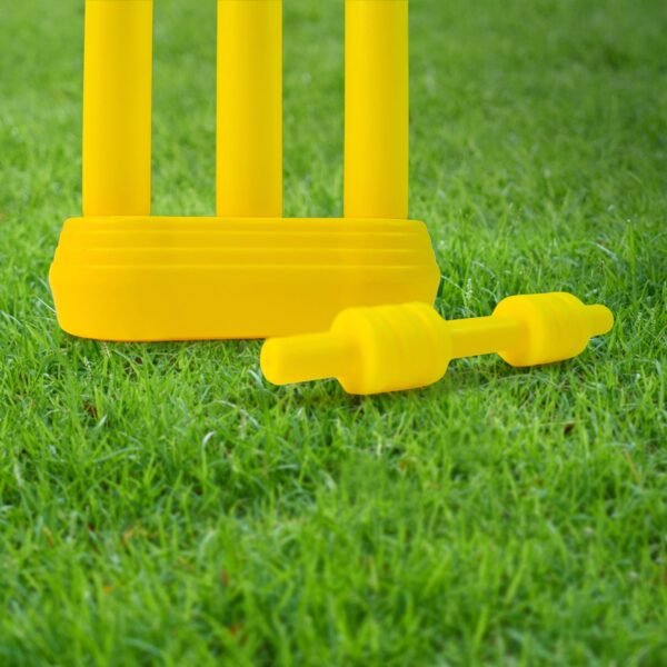Small Cricket Kit for Boys & Girls, Cricket Set