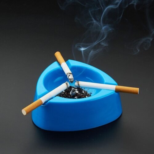 03_f478d50f-ec0c-433c-9484-d059e066a546.jpg Oblivion Durable Plastic Ashtray with Wide Bowl and Triple Cigarette Holder Slots (1 Pc)