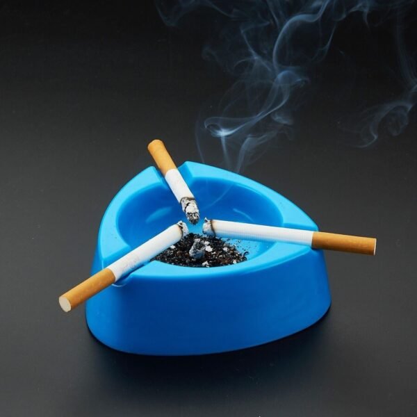 03_f478d50f-ec0c-433c-9484-d059e066a546.jpg Oblivion Durable Plastic Ashtray with Wide Bowl and Triple Cigarette Holder Slots (1 Pc)